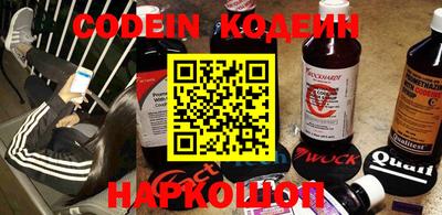 мдпв Кингисепп
