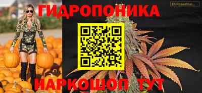 мдпв Кингисепп