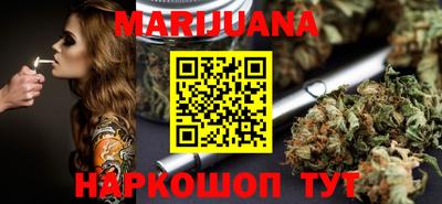 мдпв Кингисепп