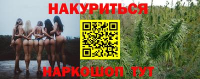 спиды Аргун