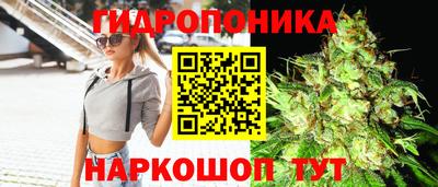 спиды Аргун