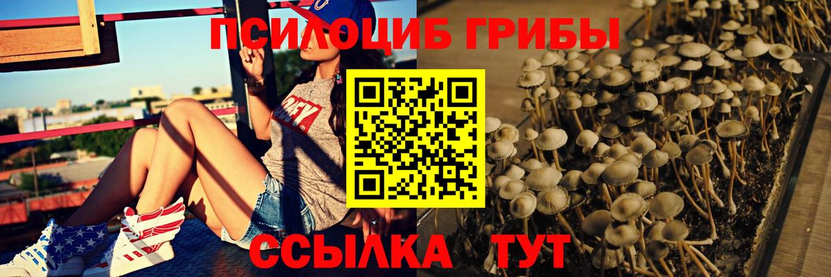 Галлюциногенные грибы Psilocybe  Вход с VPN  Фрязино 