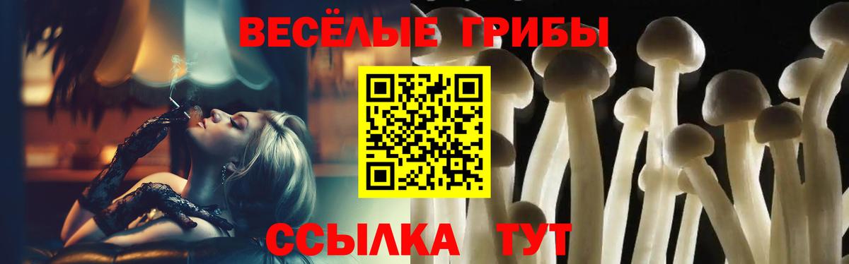Галлюциногенные грибы Cubensis Фрязино